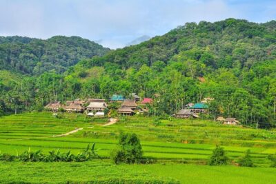 Mai Chau - Pu Luong trekking 3 days 2 nights - Pu Luong Nature Reserve trekking: rice fields, mountain views, and village crossings