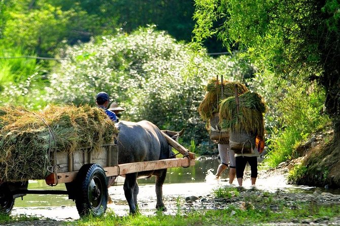 Mai Chau - Pu Luong trekking 3 days 2 nights - Day 3 from Mai Châu Ecolodge to Pho Doan: easy start, steep finish