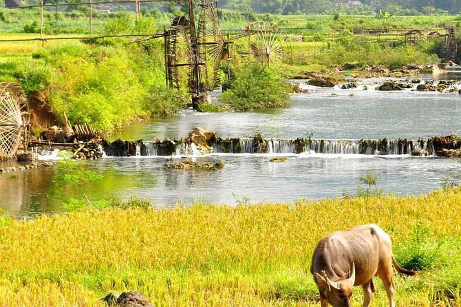 Mai Chau - Pu Luong trekking 3 days 2 nights - Who this trek suits best (and who should choose a different pace)