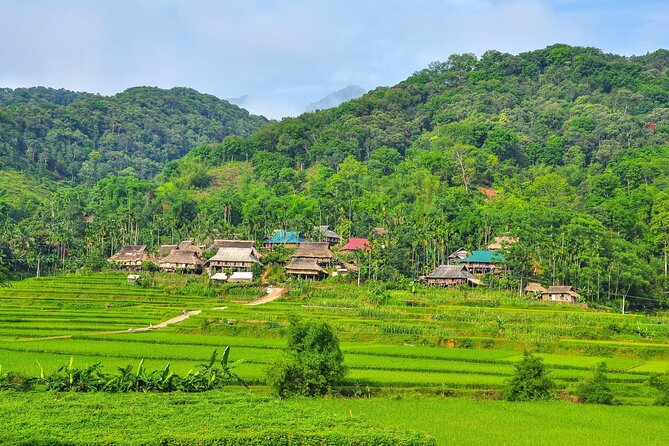 Mai Chau - Pu Luong trekking 3 days 2 nights - Pu Luong Nature Reserve trekking: rice fields, mountain views, and village crossings