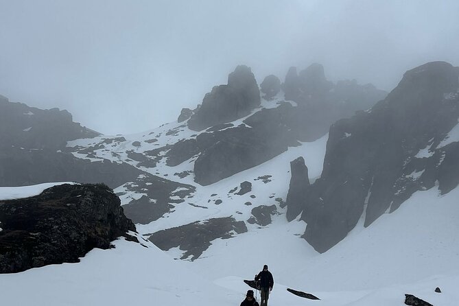 Makalu Base Camp Trek - Days 4–5: uphill forest and meadows, then acclimatization ridges