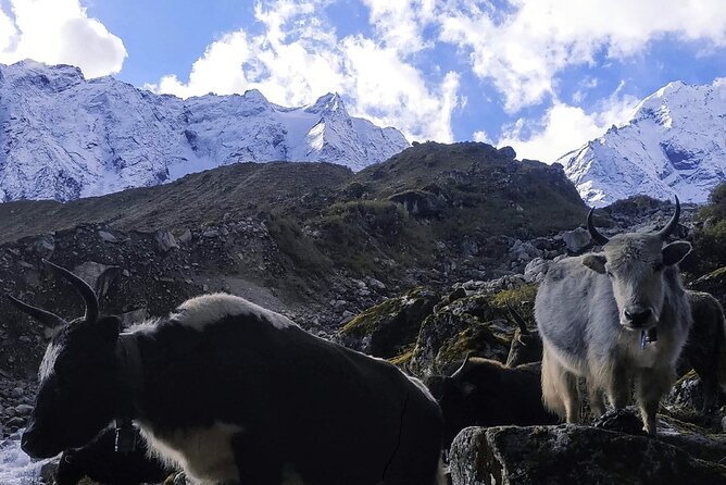 Manaslu Circuit Trek: - Key highlights worth knowing before you go