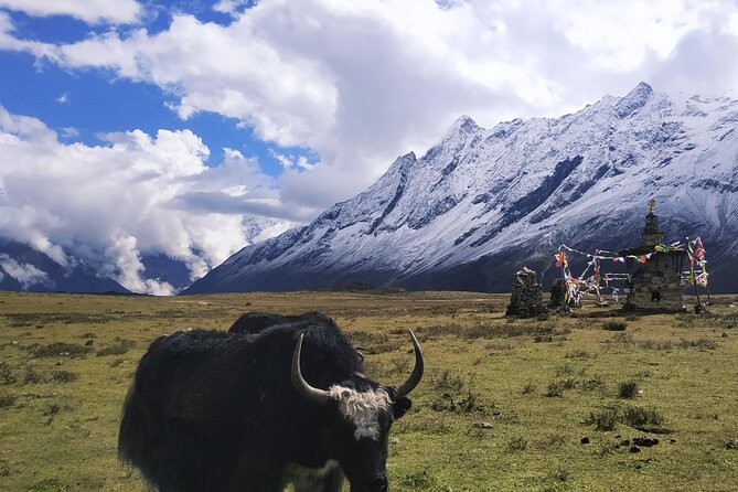 Manaslu Circuit Trek: - Days 5–7: from Numrung to Samagaon, with Manaslu views getting closer