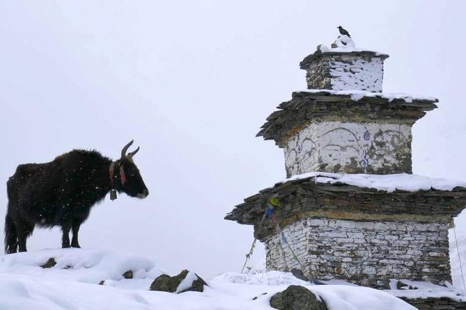Manaslu Circuit Trekking - 17 Days - Samdo to Larkya Phedi: When Snow Can Become Part of the Plan