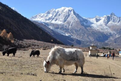 Manaslu Tsum Valley Trekking - Trek Day 1 to Dobhan: Maccha Khola, Tatopani, and Two Rivers Meeting