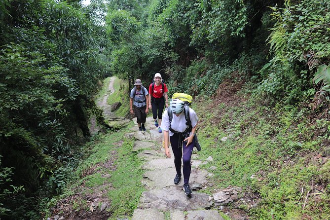 Mardi Himal Base Camp Trek (5 Days) - Key Highlights You’ll Feel on This 5-Day Trek