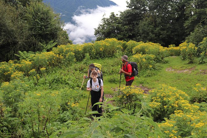 Mardi Himal Base Camp Trek (5 Days) - Day 1 in Pokhara: Lakeside Start, Khande Trail, Forest Camp Tea House
