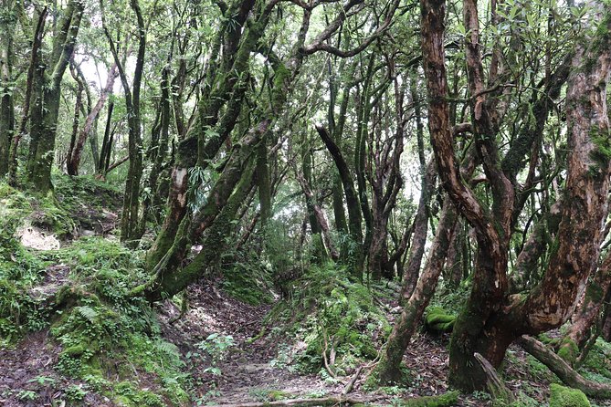 Mardi Himal Base Camp Trek (5 Days) - Day 3: High Camp for 360-Degree Views
