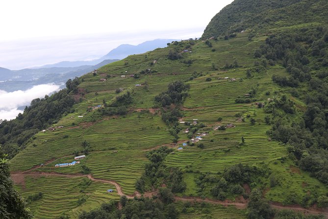 Mardi Himal Base Camp Trek (5 Days) - Day 2: Jungle Silence and Badal Dhanda’s Build-Up