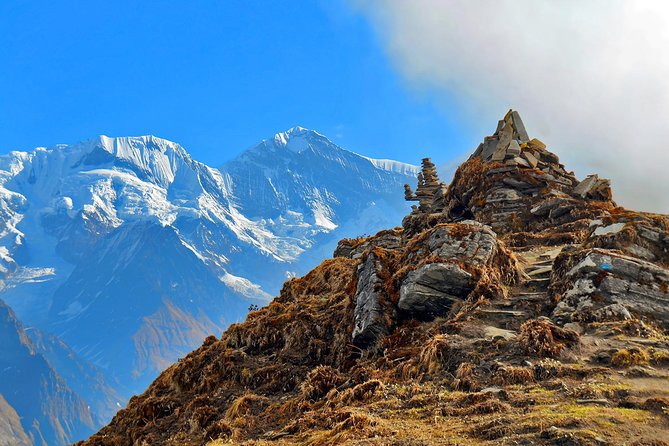 Mardi Himal Base Camp Trek -9 Days - From Phedi to Forest Camp: rhododendron and quieter walking