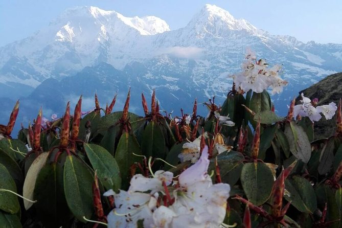 Mardi Himal Trek - 12 Days - From Thamel to Durbar Square: easing into Nepal
