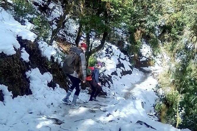 Mardi Himal Trek - Mardi Base Camp push: the 4500m day that hits hardest