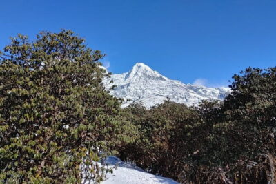 Mardi Himal Trek - Timing, pacing, and who this trek suits