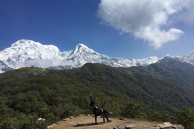 Mardi Himal Trek - 8 Days | Hidden Gem of the Annapurnas - Day 4: A quieter Annapurna section with rhododendron trees