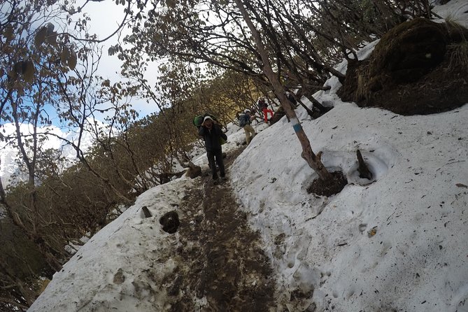 Mardi Himal Trekking - Guides and porters: the biggest reason people seem happy