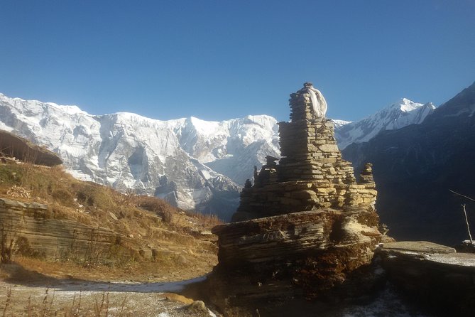 Mardi Himal Yoga Trek - Forest Camp: where the trek starts to feel like a real escape