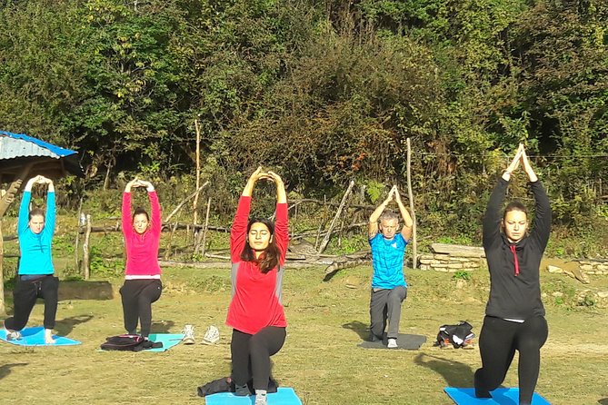 Mardi Himal Yoga Trek - Mardi Himal Base Camp: yoga at 4,500m and the payoff moment