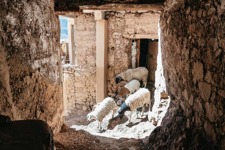 Marrakech: 2-Day Atlas Mountains Trek with Village Stay - Price and value: what $96 covers and who it’s worth for