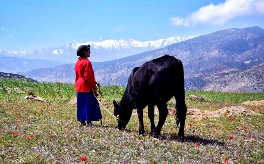 Marrakech: 2-Day Atlas Villages Trekking Tour - The mountain night: what that riad stay does for your whole trip