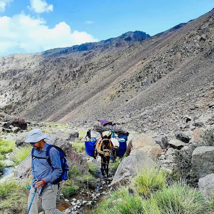 Marrakech: 3-Day Atlas Mountains Berber Villages Trek - Day 3: Waterfalls in the national park area and the Mzik Pass big-view moment