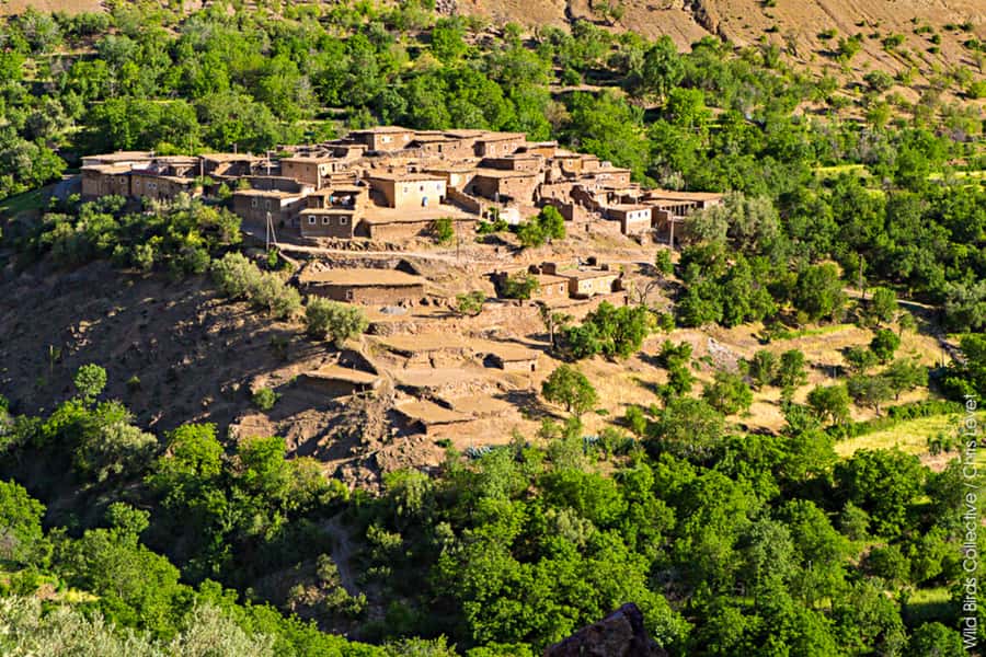 Marrakech: 3-Day High Atlas Mountains and Three Valleys Trek - Key Trek Takeaways Before You Go