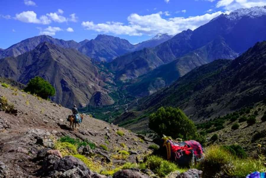Marrakech: 3-Day High Atlas Mountains and Three Valleys Trek - Price and Value: What $227 Covers (and Why It Adds Up)