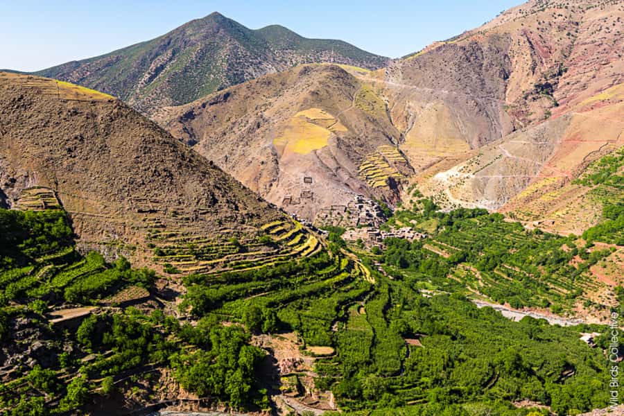 Marrakech: 3-Day High Atlas Mountains and Three Valleys Trek - The Lodges: Rustic Comfort, Blankets, and How to Sleep Better