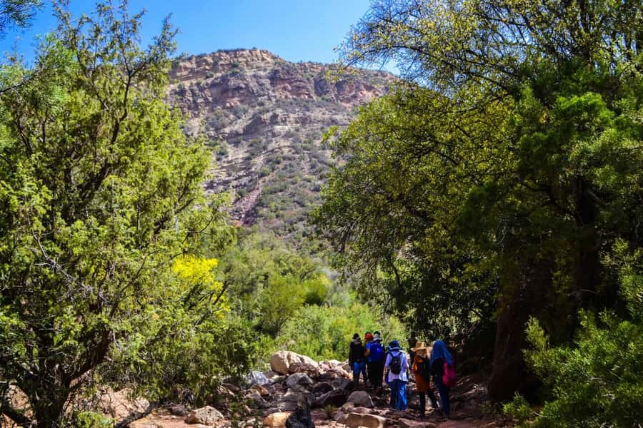 Marrakech: 3-Day High Atlas Mountains and Three Valleys Trek - Food on the Trail: Why the Meals Feel Like Part of the Journey