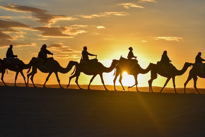 Marrakech: Agafay Desert Quad Biking & Camel Trek & Dinner & Show - Key things to know before you go