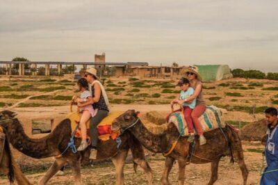 Marrakech: Agafay Desert Quad Biking & Camel Trek & Dinner & Show - Camel ride in the Agafay: short, sweet, and worth doing