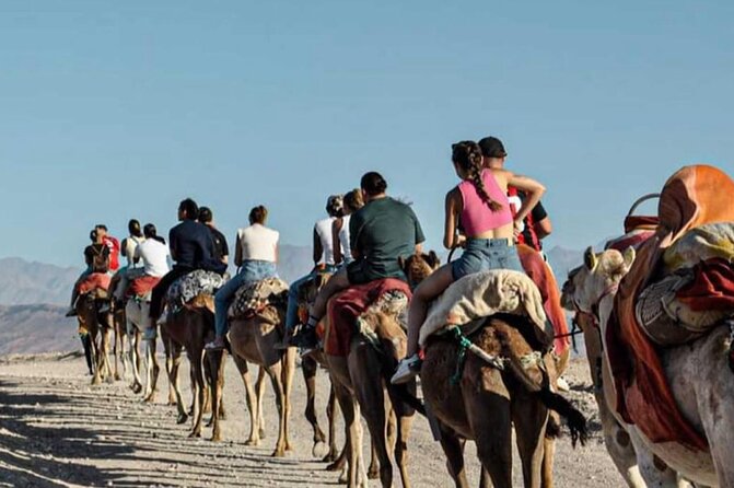 Marrakech: Agafay Desert Quad Biking & Camel Trek & Dinner & Show - Dinner under a Berber tent: good food, possible waiting