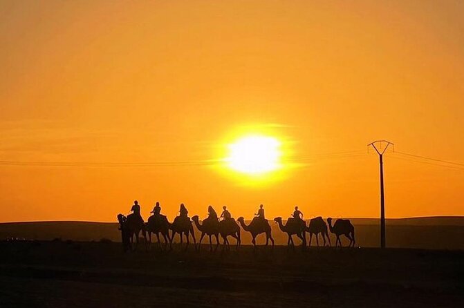 Marrakech: Agafay Desert Quad Biking & Camel Trek & Dinner & Show - Live music, Berber performances, and the fire show finale