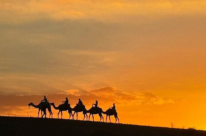 Marrakech: Agafay Desert Quad Biking & Camel Trek & Dinner & Show - Argan Oil Women’s Cooperative stop: what it adds to your experience