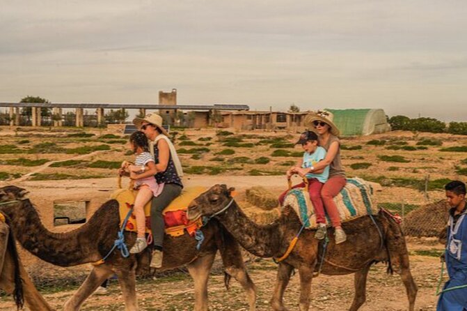 Marrakech: Agafay Desert Quad Biking & Camel Trek & Dinner & Show - Camel ride in the Agafay: short, sweet, and worth doing