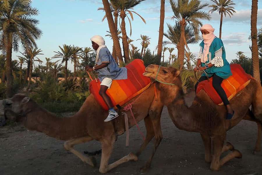 Marrakech: Camel Trek - Key highlights you’ll actually feel