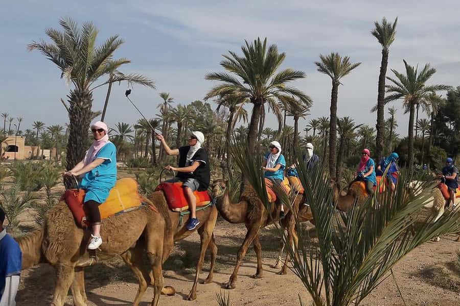 Marrakech: Camel Trek - The ride itself: what you’ll see on the camel trek