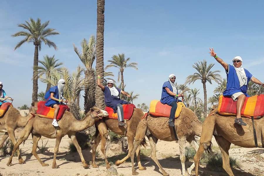 Marrakech: Camel Trek - Logistics that can change your experience (in real life)