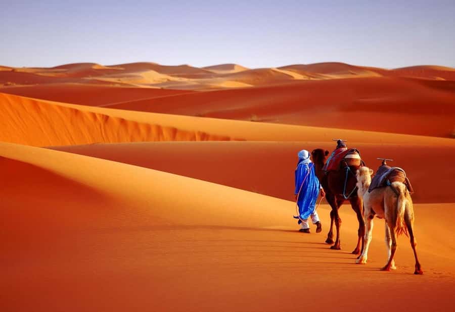Marrakech Desert Tours 3 Days with Camel Trek and Camping - A Three-Day Route Through Atlas Passes and the Sahara