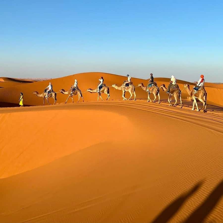 Marrakech Desert Tours 3 Days with Camel Trek and Camping - UNESCO Kasbah Ait Ben Haddou: why the guide time is the whole point