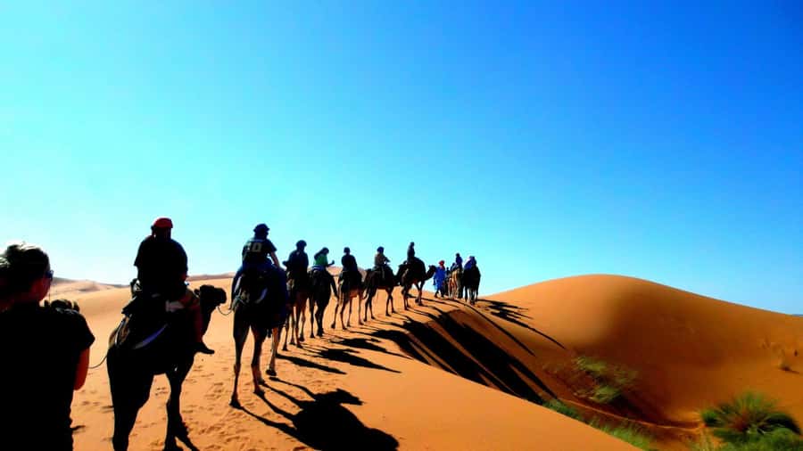 Marrakech Desert Tours 3 Days with Camel Trek and Camping - Sunrise camel trek and the return via Rose Valley