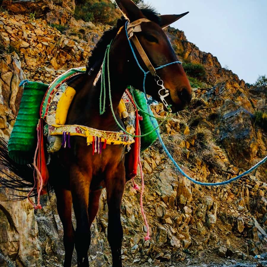 Marrakech: Guided 2-Day Trek to Imlil and Imnan Valleys - Day 2: Imnane valley life, Tizi n’Aguersioual, then Aguersioual river lunch