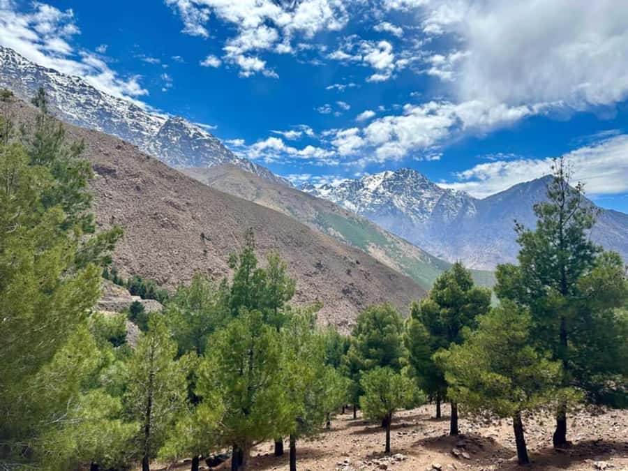 Marrakech: High Atlas Tedali Summit Guided Day Trek - Tizi n’ Tamatert: your first break and first big views