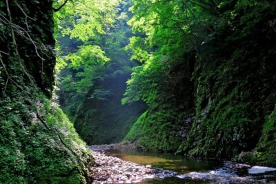 Matt Canyon River Trekking Nishiwaga Town, Iwate Prefecture - What the 3-hour River Trek Feels Like (Knee-Deep, Low Scramble)