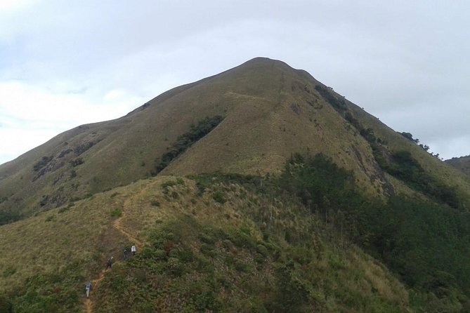 Meesapulimala Sunrise trek( By Munnar Info) - Why Meesapulimala Sunrise Feels Worth the Early Alarm