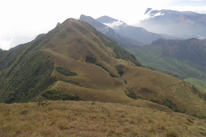 Meesapulimala Sunrise trek( By Munnar Info) - The Hike Itself: Forests, Pine Plantations, Meadows, and Photo Stops
