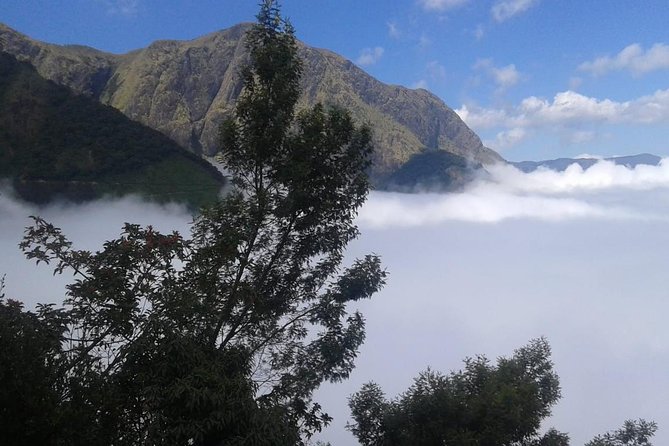 Meesapulimala Sunrise trek( By Munnar Info) - Lunch and Bottled Water: A Practical Reset After the Climb