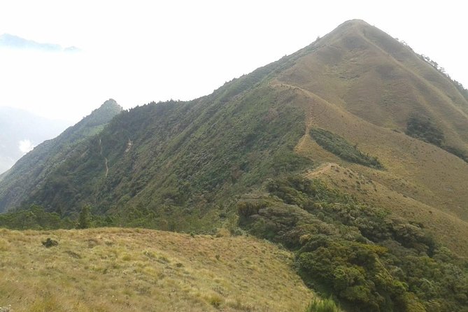 Meesapulimala Sunrise trek( By Munnar Info) - Meeting at Munnar Info: Getting Started Without Stress