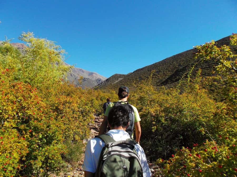 Mendoza: 4-Hour Mountain Trekking With Lunch - Summit Break: Views Over Cordón del Plata and Lake Calavera