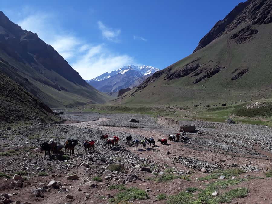 Mendoza: Mt. Aconcagua Confluencia Camp Trekking - From Mendoza: the drive isn’t filler, it sets the mood