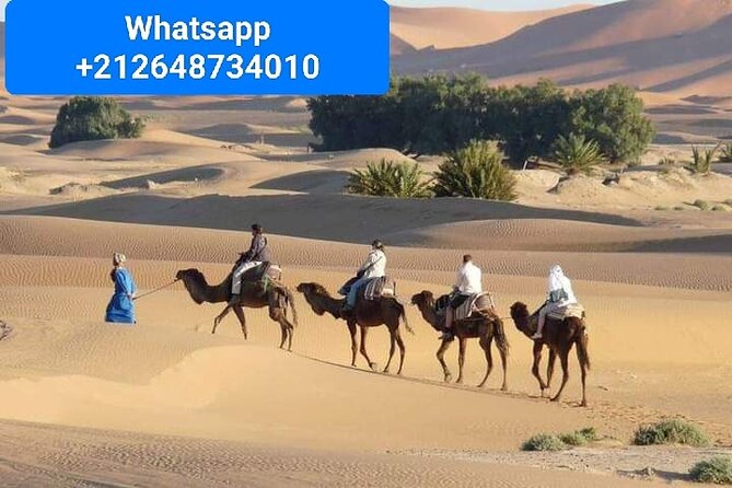 Merzouga Camel Trekking 1 Night Experience - Key highlights at a glance